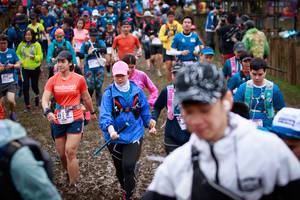 BIB: 
                            <button type="button" onclick="openModal(13431145)" class="btn btn-primary btn-sm float-right btn-popup" data-toggle="modal" data-target=".modal-high-quality">
                        <i class="fas fa-shopping-cart"></i> Add to Cart
                    </button>
                                            <button type="button" onclick="isThisMe(13431145, true)" class="btn btn-success btn-sm float-right btn-popup btn-isme hidden" data-toggle="tooltip" data-placement="bottom" title="นี่คือรูปของคุณใช่ไหม คลิกที่นี่เพื่อเอาเข้าอัลบั้ม">
                        <i class="fas fa-plus"></i> Add to album
                    </button>
                    <button type="button" onclick="isThisMe(13431145, false)" class="btn btn-warning btn-sm float-right btn-popup btn-isnotme hidden">
                        <i class="fas fa-ban"></i> Remove from album
                    </button>